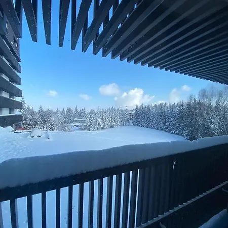 Apartment Alpin Poiana Ace 2405 - Private *